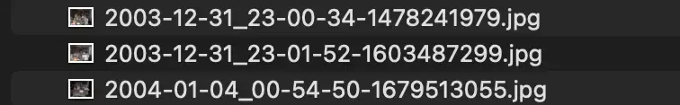 screenshot of some post-sorted filenames